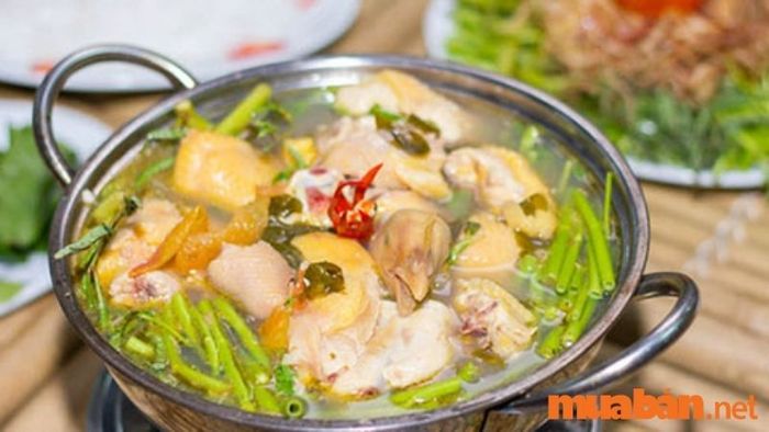 Quán ăn Duy Gà Chính Hiệu – Địa chỉ nổi bật tại quận 8 với những món ăn đặc trưng như lẩu gà, gà nướng thơm ngon.