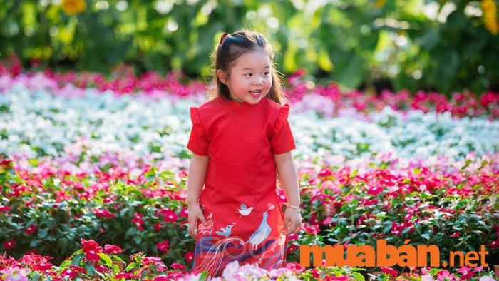 Vườn hoa cánh bướm là địa điểm tuyệt vời để chụp ảnh Tết cho bé.