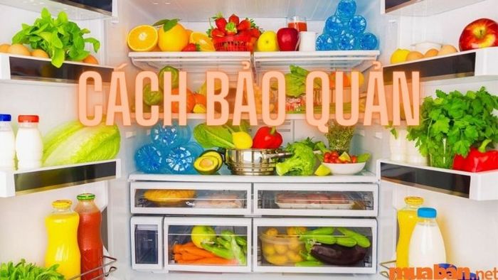 Đừng quên tìm hiểu kỹ cách bảo quản cho từng loại đặc sản Hà Nội để món quà luôn giữ được chất lượng tốt nhất.