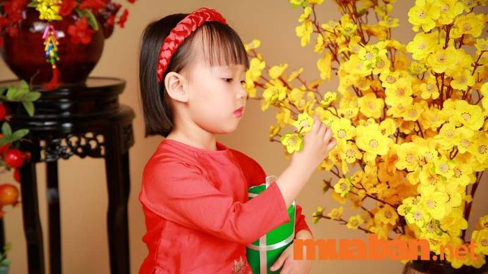 Tạo dáng cho bé gái cầm cành hoa mai tươi thắm