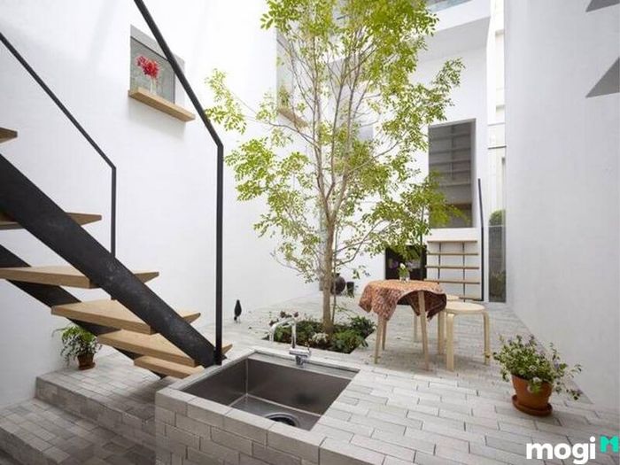 Mẫu Nhà 50m2 Với Sân Vườn Thoáng Mát