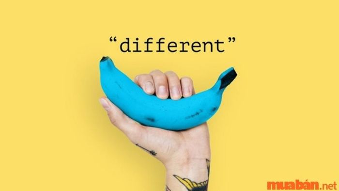 Tạo điểm nhấn đặc biệt