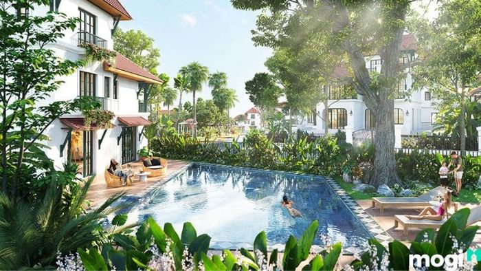 Mẫu thiết kế biệt thự sân vườn phong cách nhiệt đới