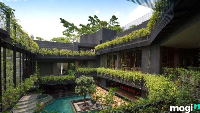 Mẫu thiết kế biệt thự sân vườn phong cách nhiệt đới