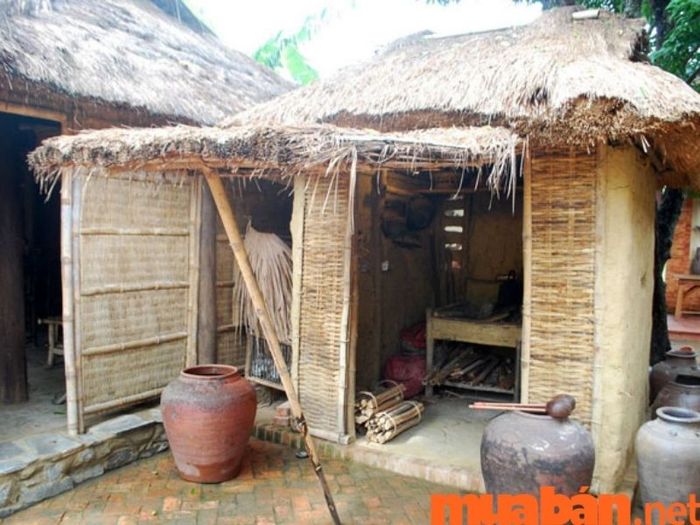 Khung xương của nhà tranh vách đất được làm từ các vật liệu đơn giản và dễ tìm kiếm trong tự nhiên.