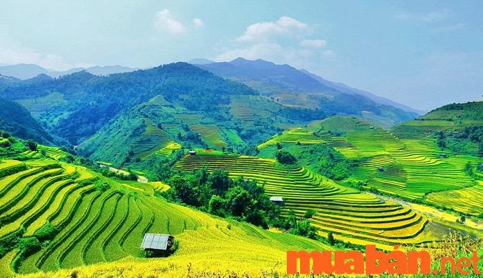 Mục đích thực sự của việc làm ruộng bậc thang là gì?