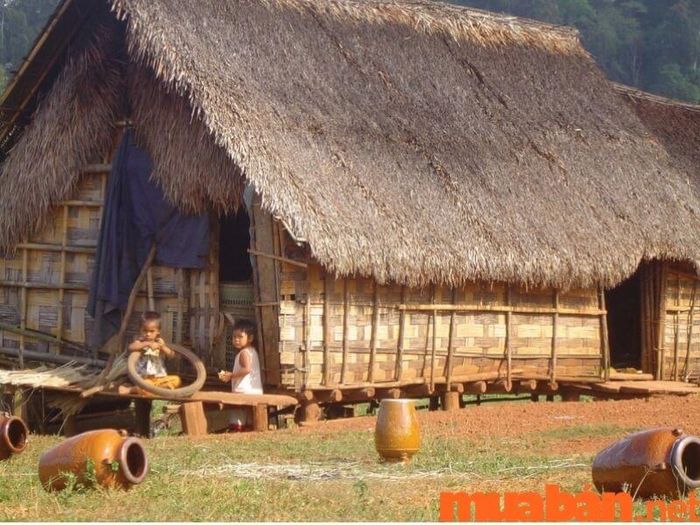 Mái nhà tranh thường được lợp bằng lá cọ khô, tạo nên sự mộc mạc và chắc chắn cho ngôi nhà.