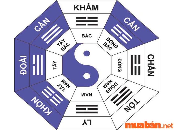 Quái số là gì? – Một yếu tố quan trọng trong phong thủy