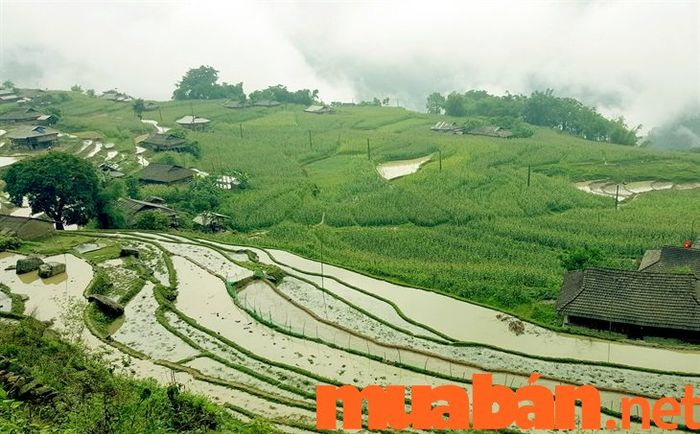 Mục đích của biện pháp làm ruộng bậc thang là gì?