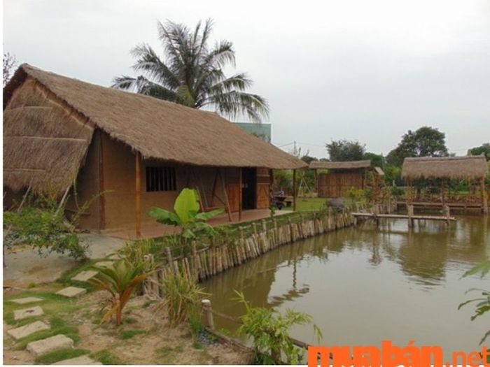 Nhà tranh vách đất — Biểu tượng văn hóa đặc trưng của làng quê Việt Nam