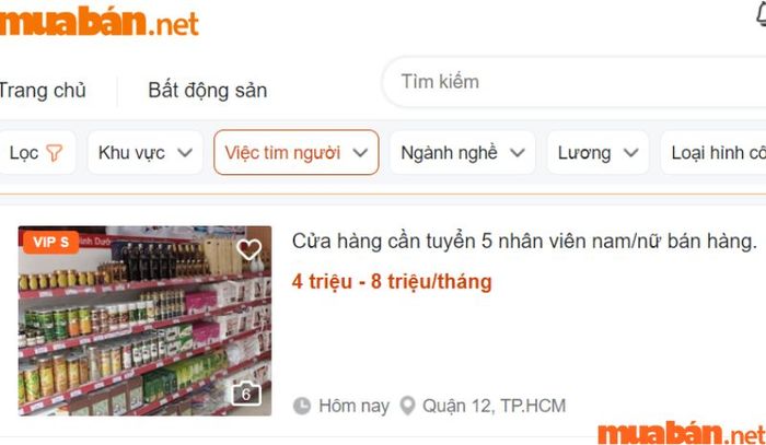 Khám phá ngay các cơ hội việc làm thời vụ Tết tại Mytour.