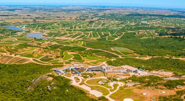 Garzón's wines are shaped by the cool, refreshing breezes from the nearby Atlantic Ocean, which influence the vineyard's climate.