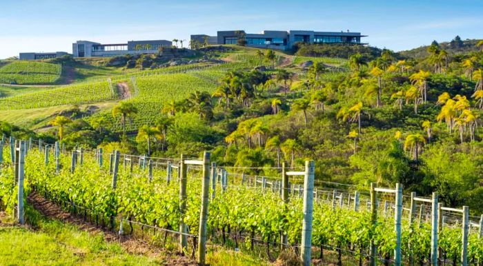 The region's granitic soils are well-suited to growing specific grape varieties.