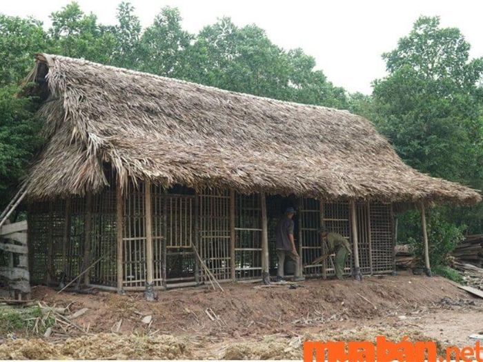 Chi phí xây dựng nhà tranh vách đất rất hợp lý