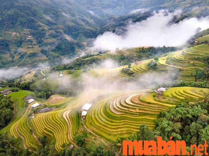 Mục đích của việc xây dựng ruộng bậc thang không chỉ để canh tác mà còn giúp bảo vệ đất, ngăn ngừa xói mòn và cải thiện hiệu quả trồng trọt.
