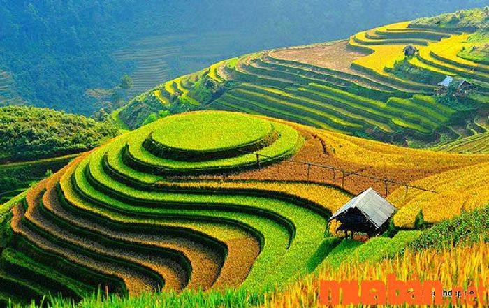 Mục đích của phương pháp làm ruộng bậc thang là gì?