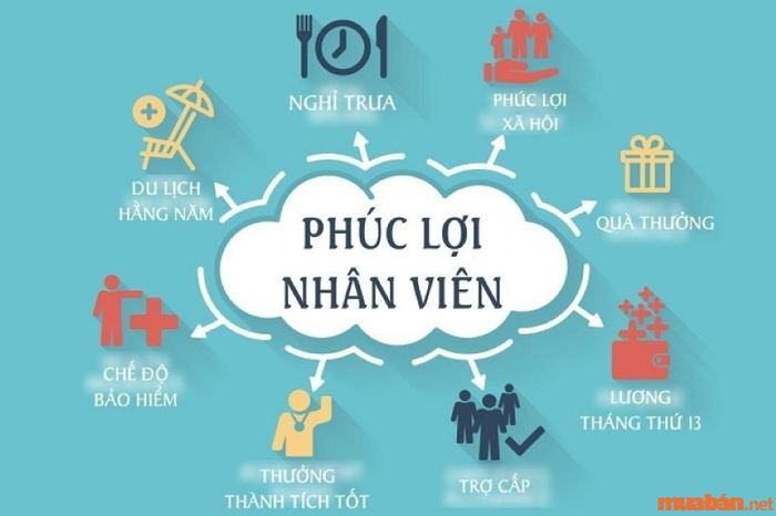 Câu hỏi về chính sách lương thưởng và phúc lợi