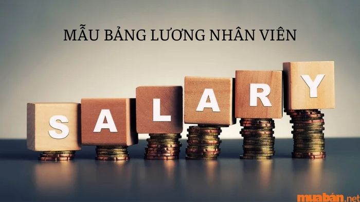 Các yếu tố cơ bản trong mẫu bảng lương nhân viên.