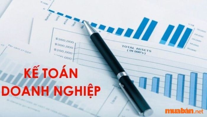 Kế toán doanh nghiệp là gì? Khám phá công việc và mức lương năm 2024