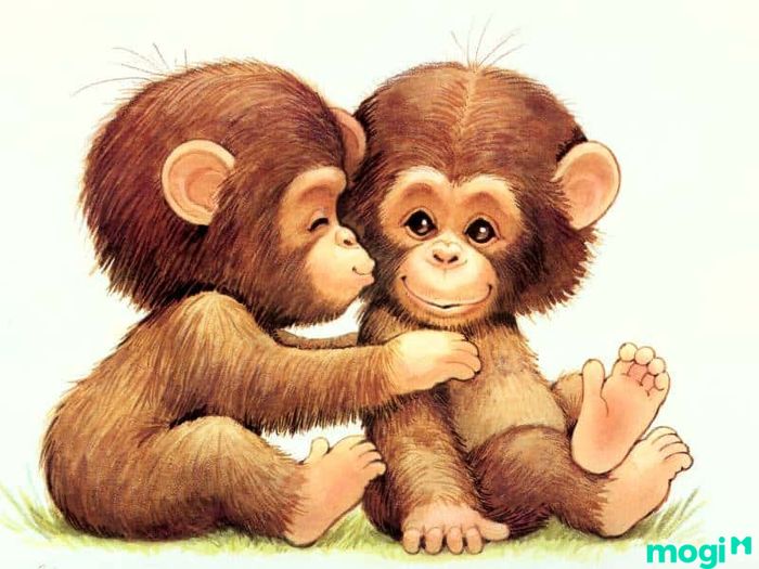 Hướng nào hợp với người tuổi Canh Thân 1980?