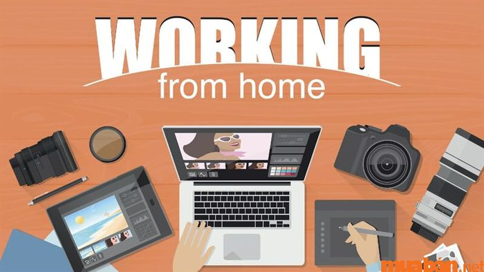 Cập nhật mức lương mới nhất cho các công việc làm tại nhà để bạn có thể lựa chọn cơ hội phù hợp.