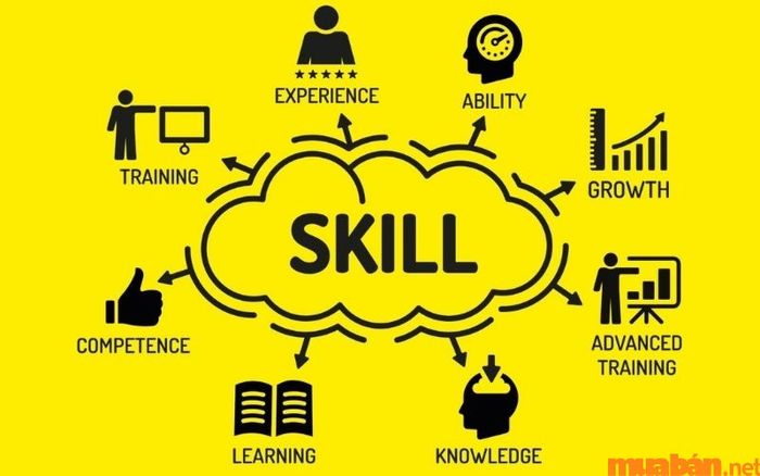 Kỹ năng cần thiết trong ngành kế toán là gì? Những năng lực nào mà kế toán viên cần phải trang bị?