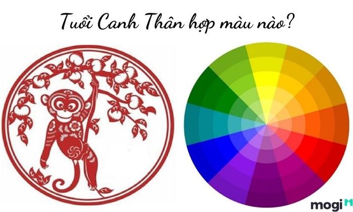 Màu sắc phù hợp với tuổi Canh Thân 1980 là những gam màu đem lại sự may mắn, tài lộc.