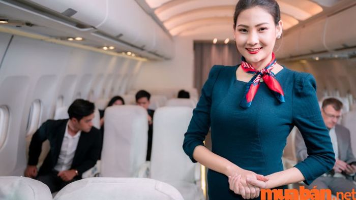 Các ngành nghề hot hiện nay - Ngành Tiếp viên hàng không