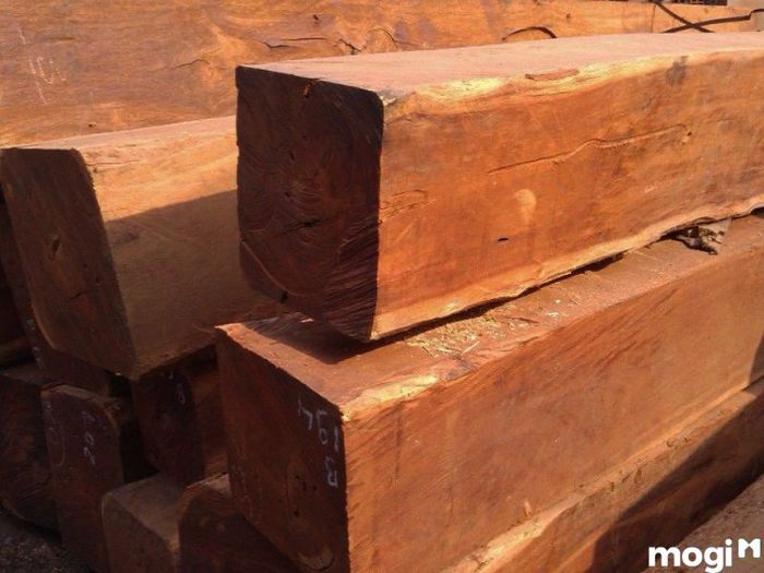 Gỗ Căm Xe Là Loại Gỗ Như Thế Nào?