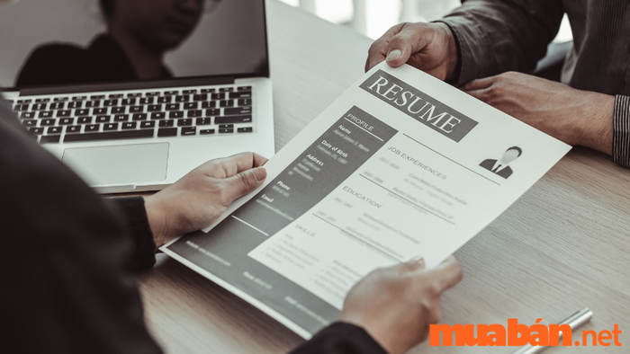 Job Offer là gì? – Cách tạo ma trận để đưa ra quyết định chính xác