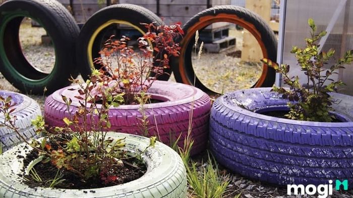 Bồn hoa trước nhà không chỉ tô điểm cho không gian mà còn mang lại vẻ đẹp sinh động cho khuôn viên ngôi nhà.