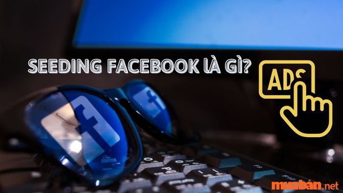 Seeding Facebook là gì?
