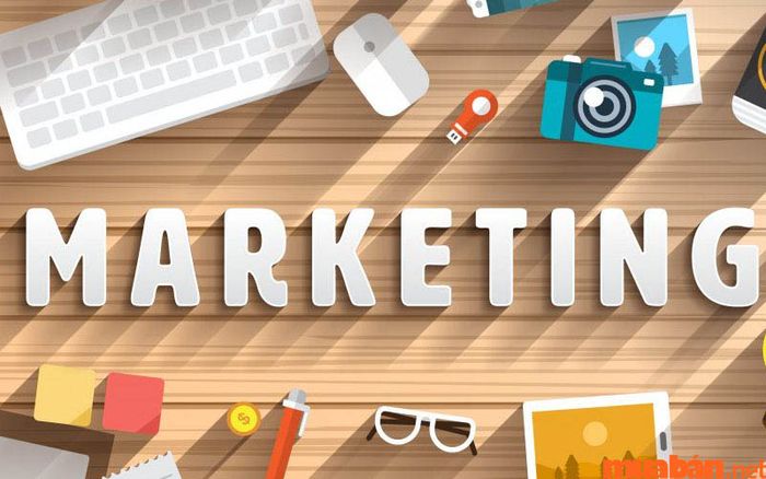 Học Marketing ra làm gì - Ngành Digital Marketing đang nổi bật và thu hút sự quan tâm