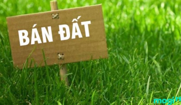 Mơ thấy mình bán đất