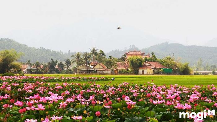 Đồng Tháp Mười