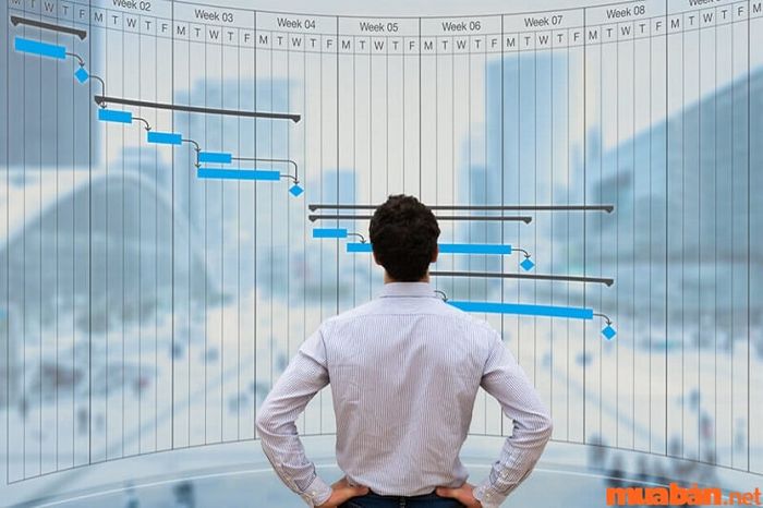 Vị trí Giám đốc/Quản lý cấp cao IT (Manager/Director)