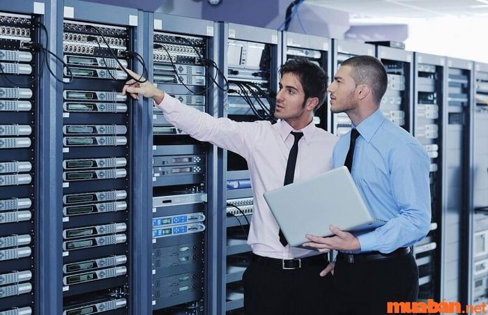 IT Manager là người chịu trách nhiệm quản lý hệ thống công nghệ thông tin của doanh nghiệp hoặc tổ chức.