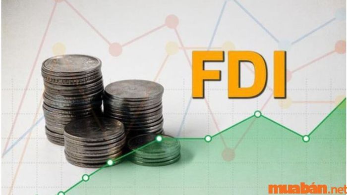 Tỷ suất lợi nhuận hỗ trợ việc nâng cao vị thế doanh nghiệp, thu hút đầu tư