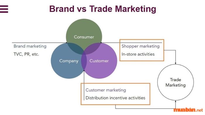 So sánh Trade Marketing và Brand Marketing