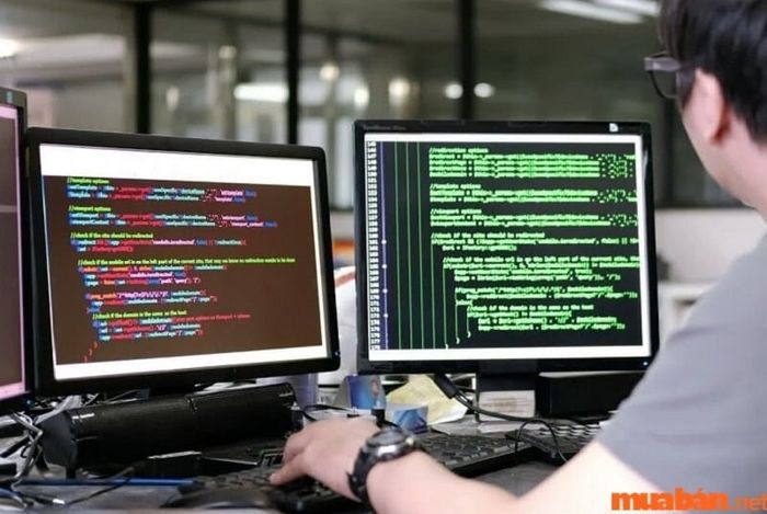 Kiến thức chuyên môn là điều kiện tiên quyết đối với một IT Manager