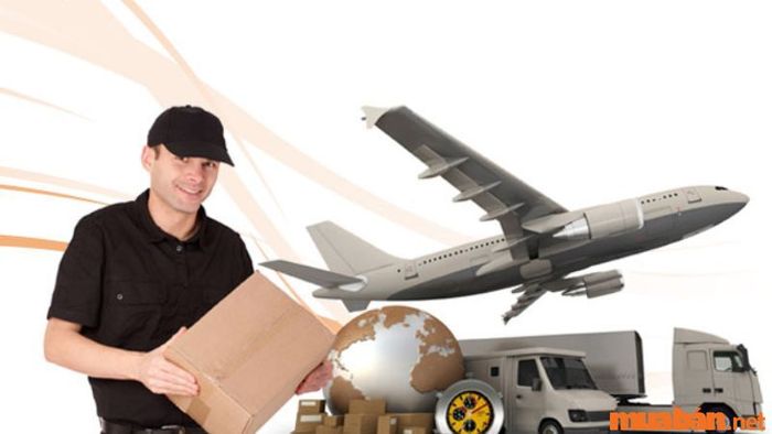 Kỹ năng quản lý vận chuyển và nghiệm thu hàng hóa