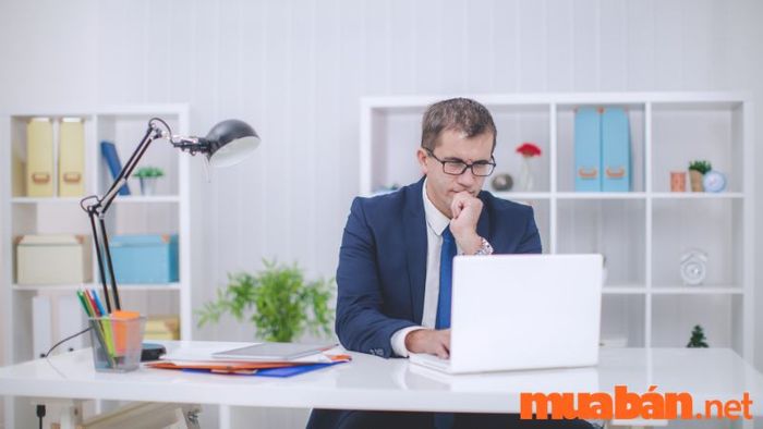 Job Offer là gì? - So sánh các Job Offer để chọn lựa công việc phù hợp