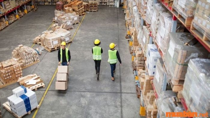 Nhân viên xuất nhập khẩu là gì?