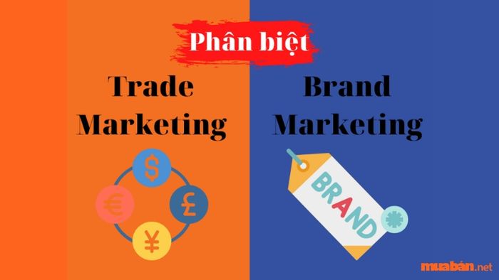 So sánh giữa Trade Marketing và Brand Marketing