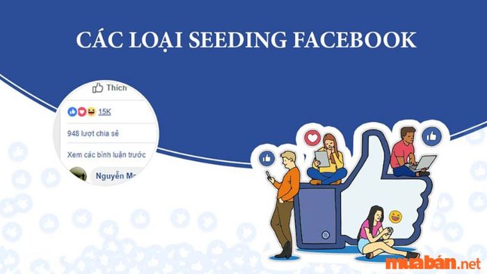 Có 4 dạng Seeding trên Facebook phổ biến