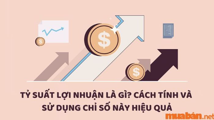 Tỷ suất lợi nhuận là gì? Cách tính và ứng dụng chỉ số này để đạt hiệu quả cao trong kinh doanh