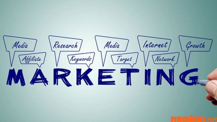 Học Marketing ra làm gì? Bạn có thể lựa chọn ngành nghiên cứu thị trường