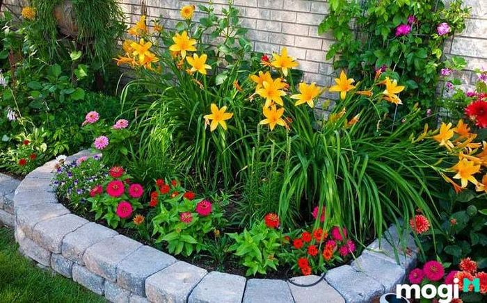 Bồn hoa đẹp trước cửa nhà