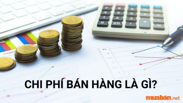 Chi phí bán hàng là gì?