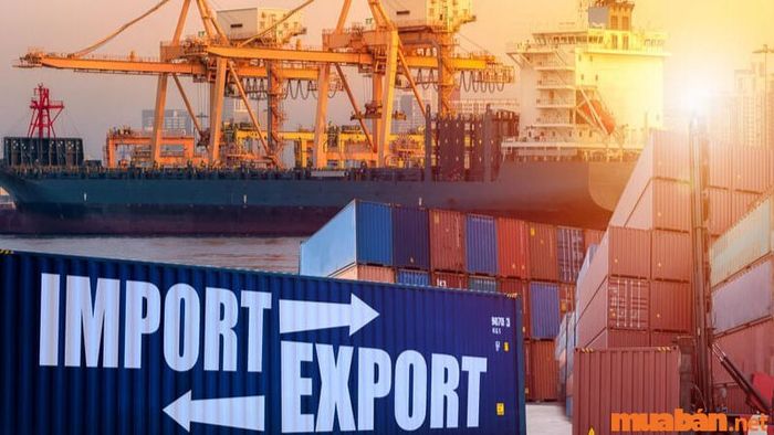 Công việc của nhân viên xuất nhập khẩu là gì?